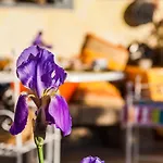 The Old Farm Asfodeli - Adults Only Bed & Breakfast