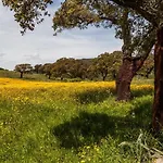 The Old Farm Asfodeli - Adults Only 4* Sanalvò