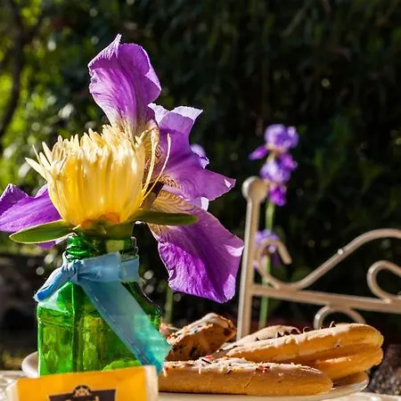 The Old Farm Asfodeli - Adults Only Bed and breakfast Sanalvò