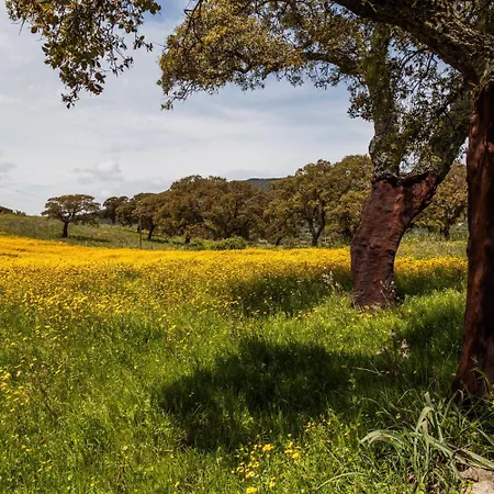 The Old Farm Asfodeli - Adults Only 4* Sanalvò