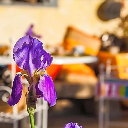 The Old Farm Asfodeli - Adults Only 4* Sanalvò